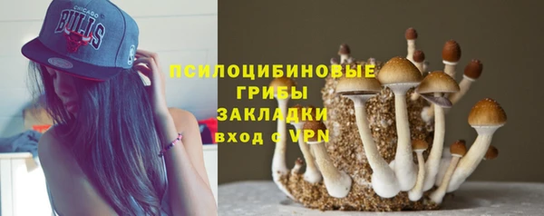 прущие крисы Белокуриха