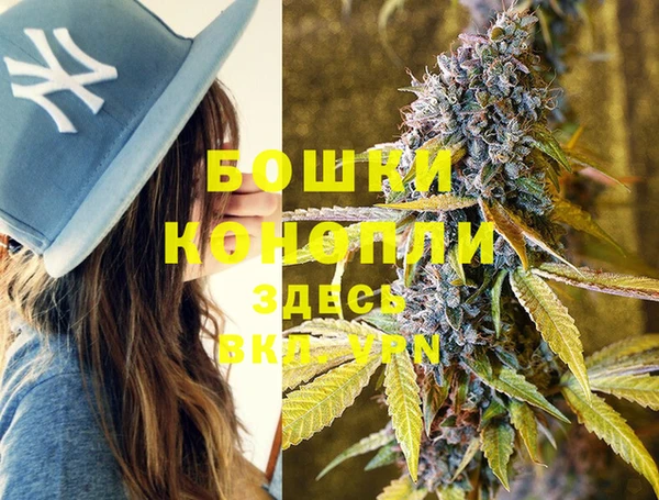прущие крисы Белокуриха