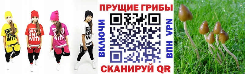 блэк спрут ссылки  Чёрмоз  Галлюциногенные грибы GOLDEN TEACHER  как найти  